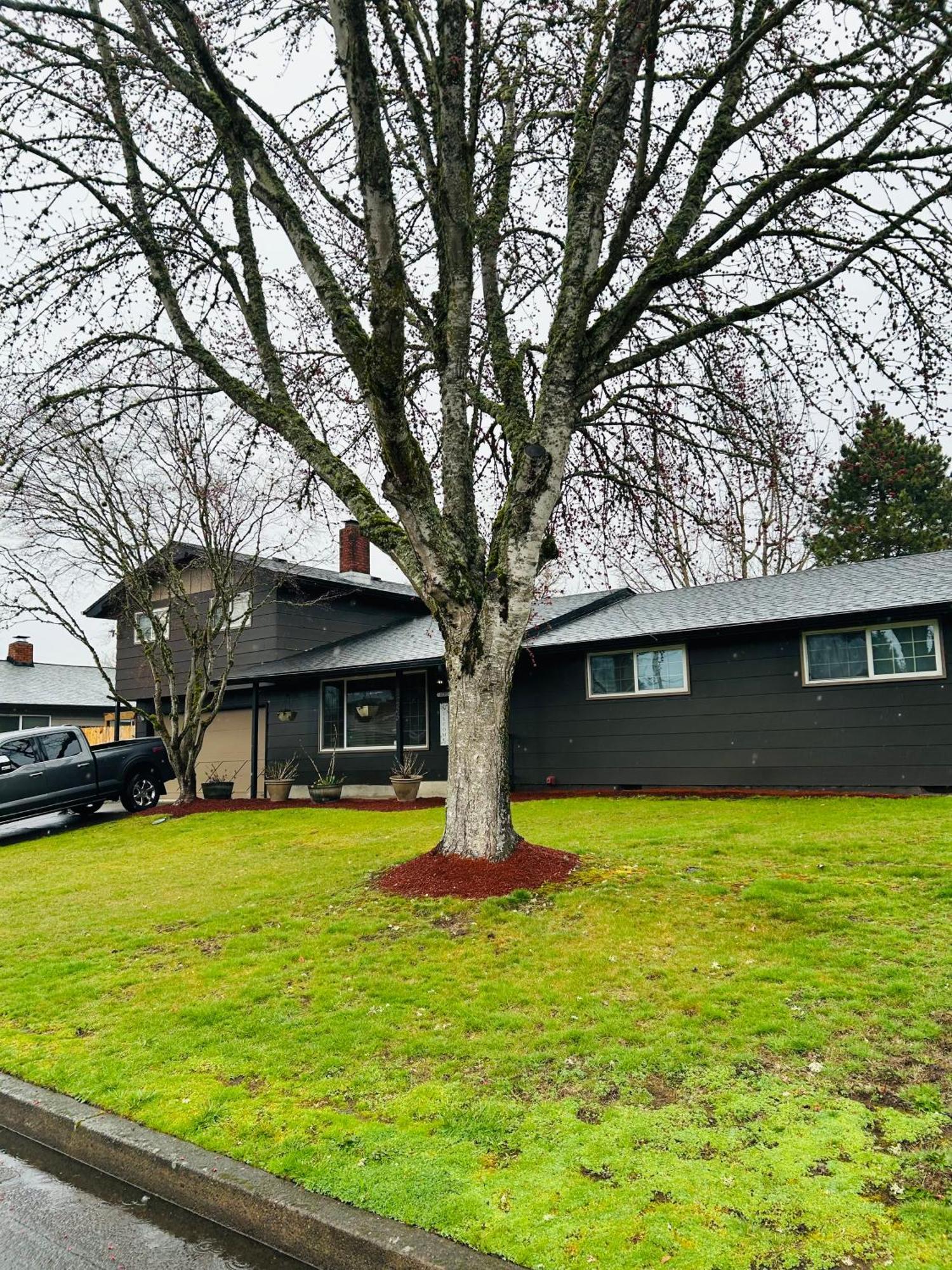 Emerald City 3 Bedroom 1 Bath Home Eugene Exterior foto